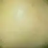 Frank Viney - @frankviney - TikTok
