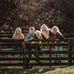 Frankie Waddle - Facebook
