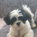 Frankie Waddle - Facebook