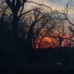 Frank waldner - @waldner_frank - Instagram