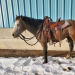 Frank Waldner - @frankwaldner05 - Instagram