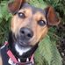 Frank Walley - Facebook