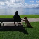 Franklin - @frankwan_shi - Instagram