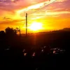 franky - @frank.wander - TikTok