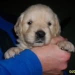 Frank Wanner - @frank.wanner.56 - Instagram