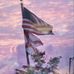 Frank Ware - Facebook