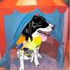 FranK - @myfrankway - TikTok