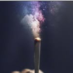 @fran.kweed - Instagram