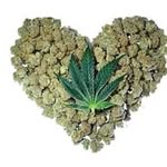 Frank Weed - @capableweed - Instagram