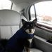 Frank Weese - Facebook
