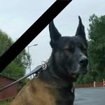 Frank Weise - @frank_weise0815 - Instagram