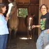 frankwhitlock127 - @frankwhitlock127 - TikTok