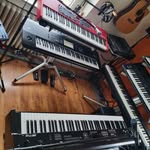 frank wienhold - @wienholdfrank - Instagram