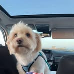 Frank William - Facebook