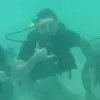 frankiebdwillner - @frankiebdwillner - TikTok