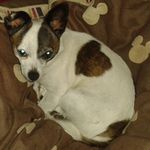 Siegfried Frankwitz - @siegfriedfrankwitz - Instagram