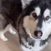 Frank - @frankswork - TikTok