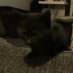 Frank Work - @frank32976 - Instagram