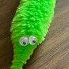 frank the worm - @frank.theworm - TikTok