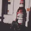 FrankWULF - @wearewulf - TikTok