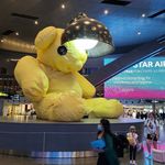 Frank Xia - @frankxia313 - Instagram