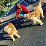 frank yannick - @frank__yannick - Instagram