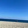 Frank Yim - @frank.yim - TikTok