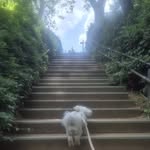 Frank Yoon - @frankyoon6 - Instagram