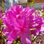 Frank Yoon - @frankyoon388 - Instagram