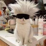 @frankyo.on - Instagram