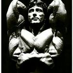 ARNOLD | FRANCO | FRANK ZANE - @goldenera_aesthetics - Instagram