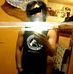 Frank Zepeda - Facebook