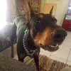 Frank Zepeda - @frank.zepeda48 - TikTok