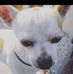 Frank Zepeda Delgado - Facebook