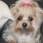 Frankie Ewing Barnes - @ewingbarnes - Instagram