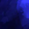 Frankie Cantrell - @frankiecantrell0 - TikTok