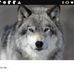Frankie Carr - Facebook