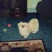 Frankie Carr - Facebook