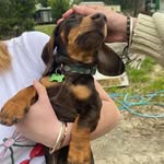 frank - @frankieclementsx2 - Instagram