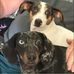 Frankie Hicks - Facebook