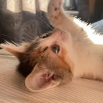 Frankie Hunter - @frankie__meowniz - Instagram