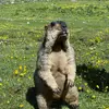 Frankie Lin - @frankie.lin09 - TikTok