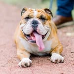 Frank Malone Stasko - @_frank_malone_ - Instagram