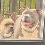 Frankie Malone - @malonefrankie - Instagram
