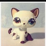 Frankie Mann - @lps_trader_girl - Instagram
