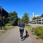 Frankie Mann - @mariefrancesmann - Instagram