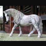 Frankie Mann - @the_schleich_queen_15 - Instagram