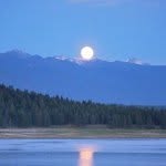@frankiemcdowell - Instagram