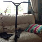 Frankie Murray - @murrayman444 - Instagram