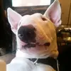 Frankie Murray - @frankie.murray8 - TikTok